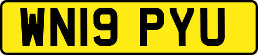 WN19PYU