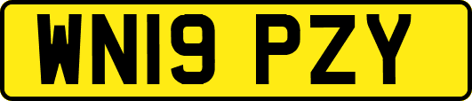 WN19PZY