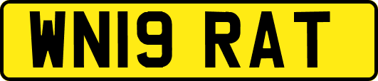 WN19RAT
