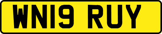 WN19RUY