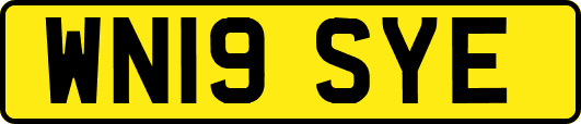 WN19SYE