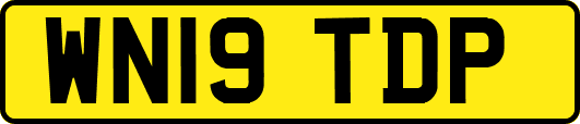 WN19TDP