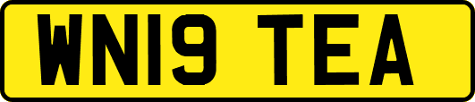 WN19TEA