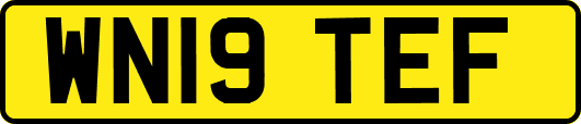 WN19TEF
