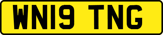 WN19TNG