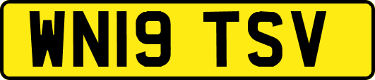 WN19TSV