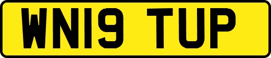WN19TUP