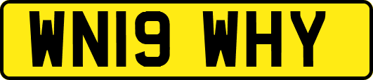 WN19WHY