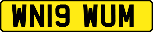WN19WUM