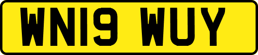 WN19WUY