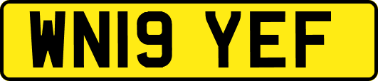 WN19YEF