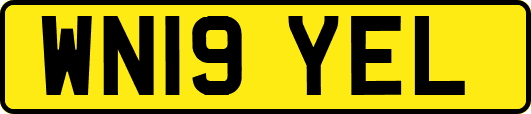 WN19YEL