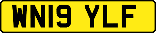 WN19YLF