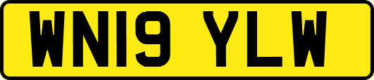 WN19YLW