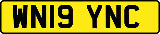 WN19YNC