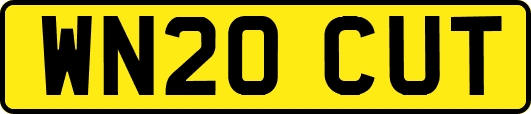 WN20CUT