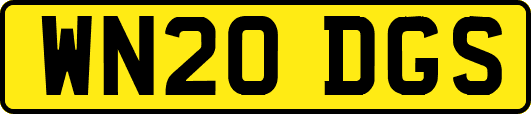 WN20DGS