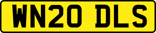 WN20DLS