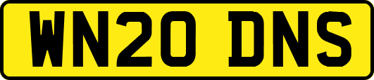 WN20DNS