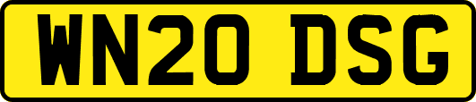 WN20DSG