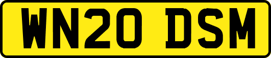 WN20DSM