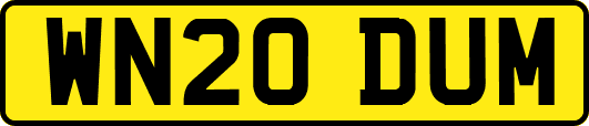 WN20DUM