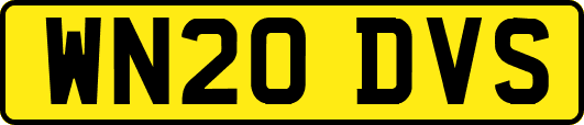 WN20DVS