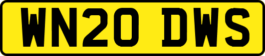 WN20DWS