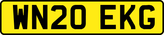 WN20EKG