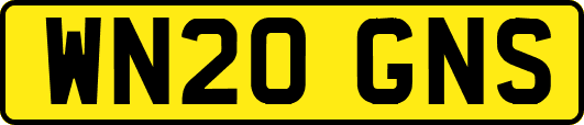 WN20GNS
