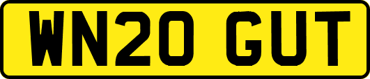 WN20GUT