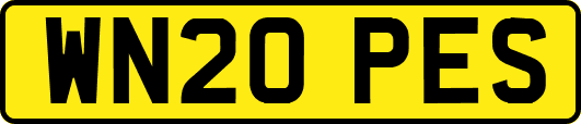 WN20PES