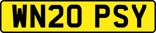 WN20PSY