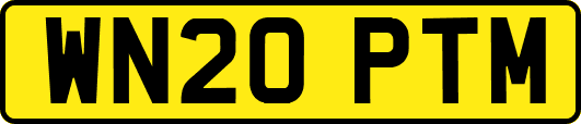 WN20PTM