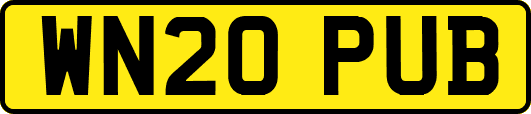 WN20PUB