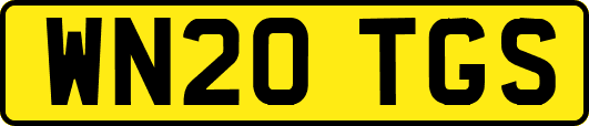 WN20TGS