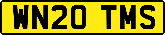 WN20TMS