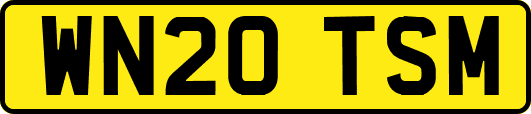 WN20TSM