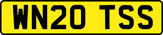 WN20TSS