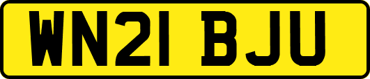 WN21BJU