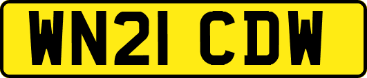 WN21CDW