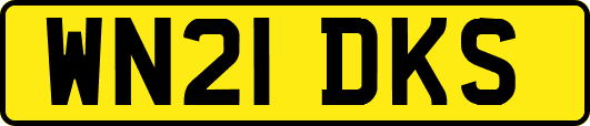 WN21DKS