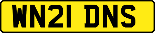 WN21DNS