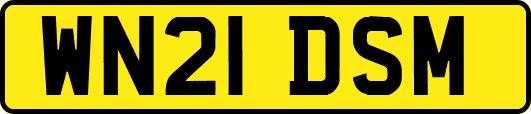 WN21DSM