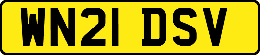 WN21DSV