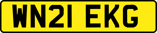 WN21EKG