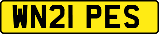WN21PES