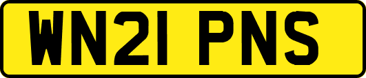 WN21PNS