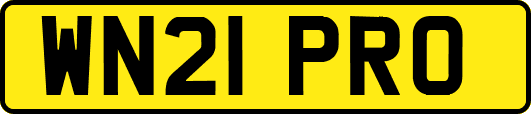 WN21PRO