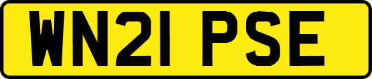 WN21PSE